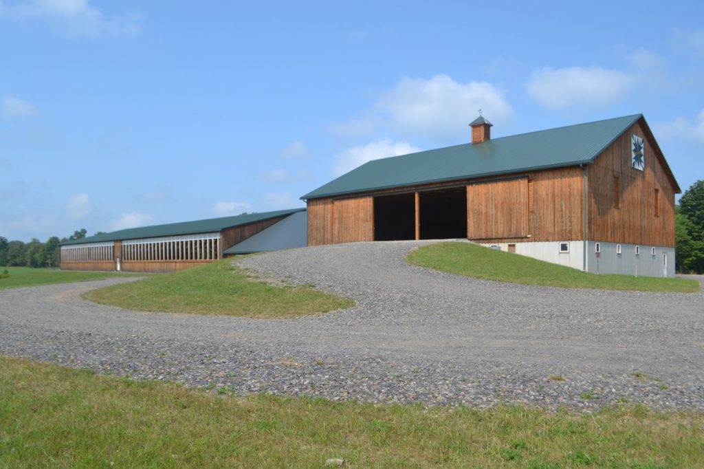 Three Springs Arena M&M Barn Sales